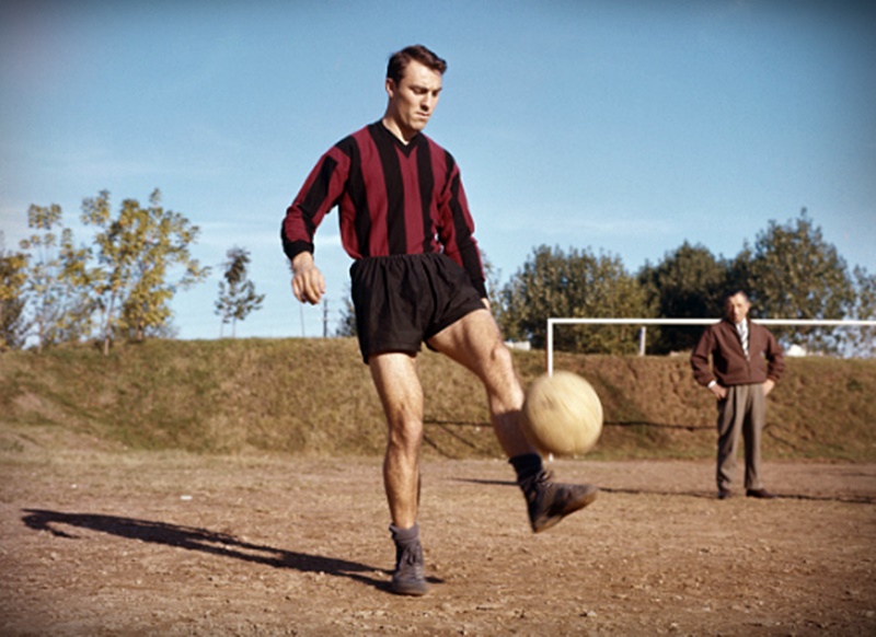greaves-milan-wp